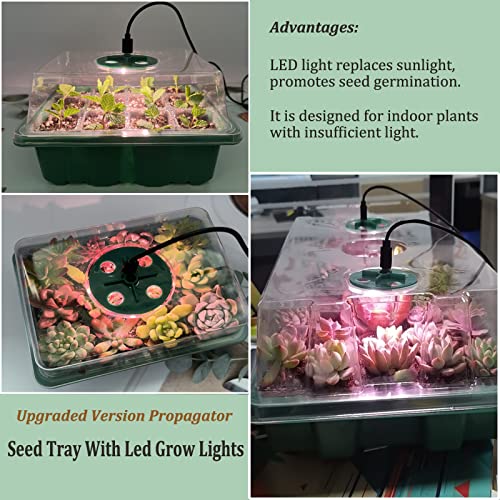 VDYXEW 5 Pack Propagator with Lights, Seed Trays, Seed trays with lids, Mini Greenhouse Propagator kit for Germination Growing