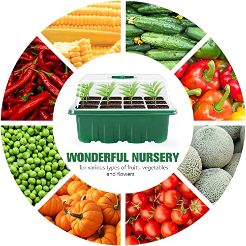 Fox·Bunny Propagator, 3 Pack Propagators for Plants,12-Cell Seed Trays with Lids,Indoor Gardening Kit for Seeds Planting (Green,10 White Labels, 2 Tools)