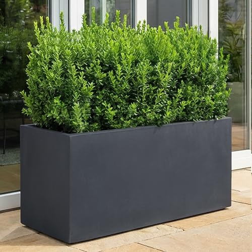 IDEALIST 65cm Dark Grey Fiberstone Trough Planter
