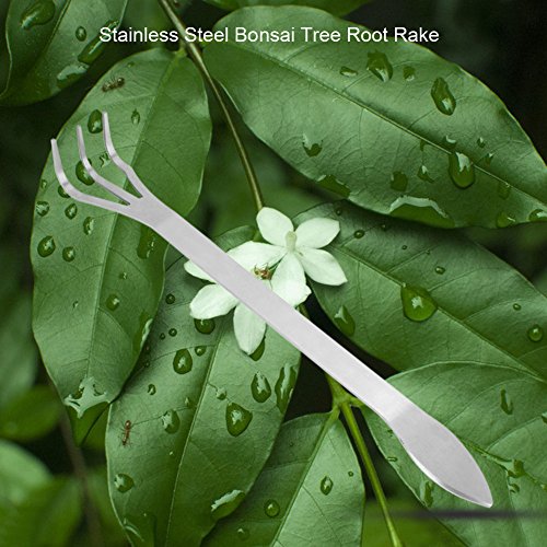 Haofy Stainless Steel Bonsai Rake, 3-Prong Root Rake for Loosening Soil, Bonsai Tree Gardening Tools with Ergonomic Handle for Flowers Plants