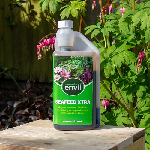 envii SeaFeed Xtra – Organic Seaweed Fertiliser, Liquid Outdoor Plant Food Ideal for all Plants, Lawns, Gardens and House Plants, Rich in Additional Nutrients - 1 Litre Makes up to 500L