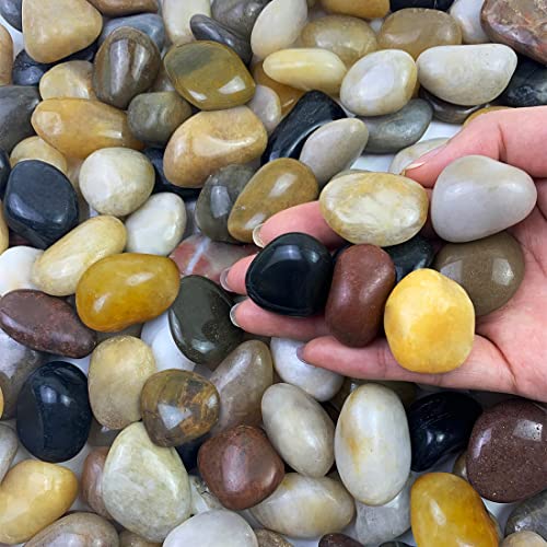 Mixed Colour Decorative Pebbles for Plant Pots