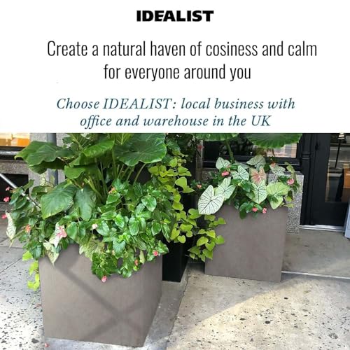 IDEALIST 50cm Large Square Planter for Trees | Grey Reinforced Stone Flower Pot with Drainage Holes L50 W50 H50.5 cm, 92 litres