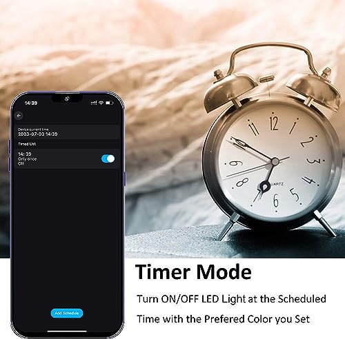 INDARUN RGBW Led Decking Lights Waterproof IP67 Ø31MM - WiFi Controller - Lighting for Terrace/Patio/Path/Wall/Garden/Decoration, 30 Packs