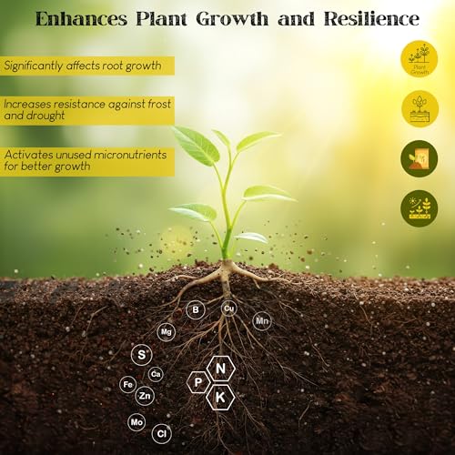 Renaissance Organic Plant Food - All Purpose Fertilizer for Outdoor & Indoor Gardening - Fertiliser Booster for Houseplants, Vegetables, Fruit Trees, Industrial Crops, Legumes | 3.62 kg Bag