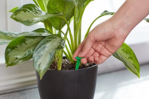 Home-APP Miracle-Gro 300157 Indoor Plant Food 48-Spikes, 2.2-Ounce Garden, Lawn, Supply, Maintenance