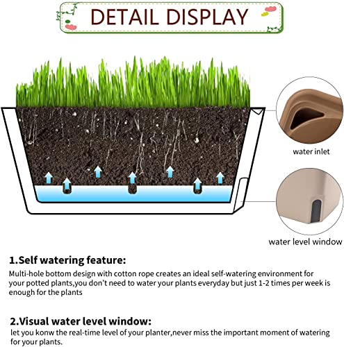 LATERN 3Pcs Self Watering Planter Pot, 27CM Rectangle Plastic Plant Pot Garden Flower Bonsai Pots for Aloe Herb Orchid Succulent Plants - with Water Level Window and Drainage Hole Hidden Tray