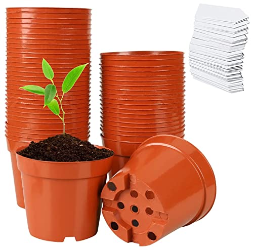 LATERN 60Pcs Plastic Flower Pots, 7.5CM Plant Nursery Pots Small Flower Container Seedling Pots with Drainage Holes for Succulent Fruit Vegetable Seedlings Transplanting - with 100Pcs Plant Labels