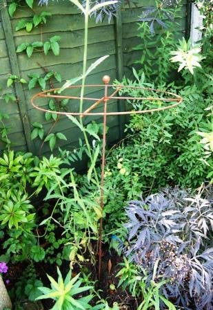 GAP GARDEN PRODUCTS Metal Rust Simple Circle Plant Support (pack of 8 or 6) Ideal plant support for dahlias, delphiniums etc (6, Rustic Patina)