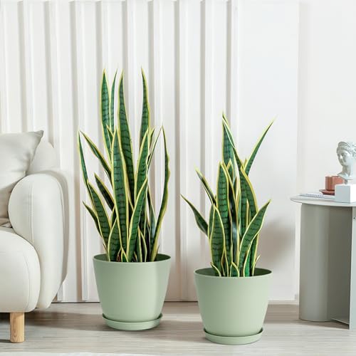 FORAGIFT 16 Pack 15cm Plastic Plant Pots for Indoor Flower Pots, Heavy Duty and Stylish Plant Pots for Indoor Plants with Drainage Holes and Tray for Plants, Flowers, Green