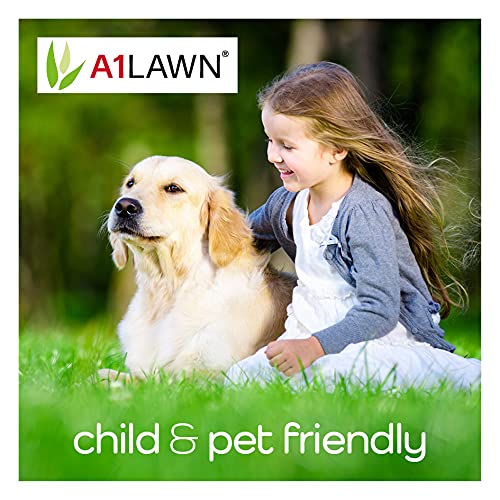 A1 Lawn Luxury Hard Wearing Grass Seed, 5kg (140m2) - Premium Quality Lawn Seed, Fast Growing, Child & Pet Friendly, Ideal for New Lawns & Overseeding - UK Harvested DEFRA Approved (AMPRO8)