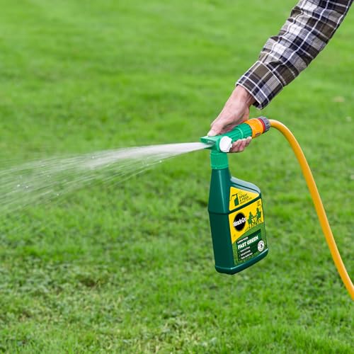 Miracle-Gro EverGreen Fast Green Spray & Feed, Liquid Lawn Food, 1 Litre