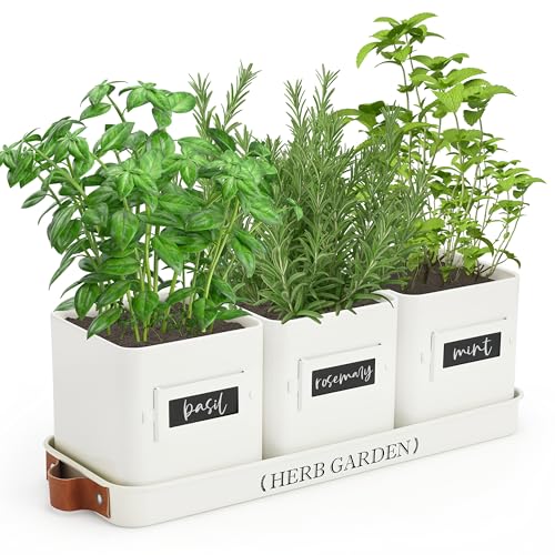 PERFNIQUE Indoor Herb Garden Planter Set With Tray
