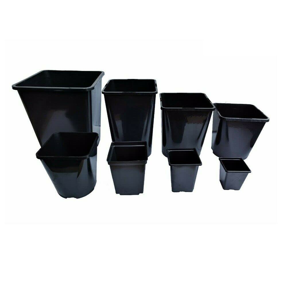 Elixir Gardens | Strong Square Black Recycled Plastic Hydroponic Pots | .25L / .75L / 1L / 2L / 3L / 4.5L / 5.5L / 11L Quantities 1-1000 | 2 Litre x 20