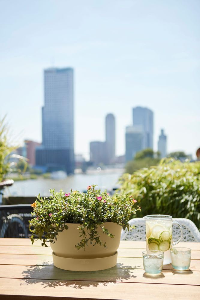 elho Greenville Bowl 33 - Large Plant Pot Outdoor - 100% Recycled Plastic - Ø 32.5 x H 19.4 cm - Beige/Golden Sand