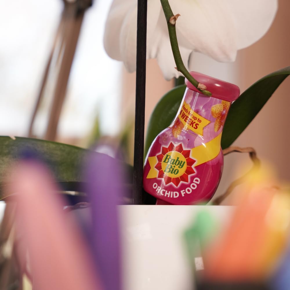 Baby Bio Automatic Orchid Drip Feeders, 4 x 40ml - Ready To Use Plant Food - Easy Care for Supporting Healthy Growth and Vibrant Flowering