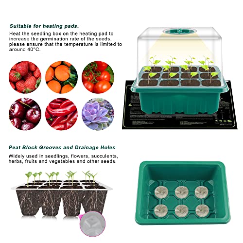 BTONGE Upgrade 5 Set Seed Trays with Grow Light for Plants, Propagator Trays with Heightened Lids, LED Full Spectrum Sunlike White Plant Lights, Germination Seedling Starter Kit-USB Powered