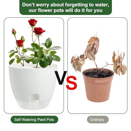 IWTTWY Self Watering Plant Pot Set Pack of 3, 15cm Clear Plastic Flower Pots, Planters for Indoor with Drainage Maintains, Seed Seedling Pots for Orchid, African Violet, Rose, Tulips (White - Clear)