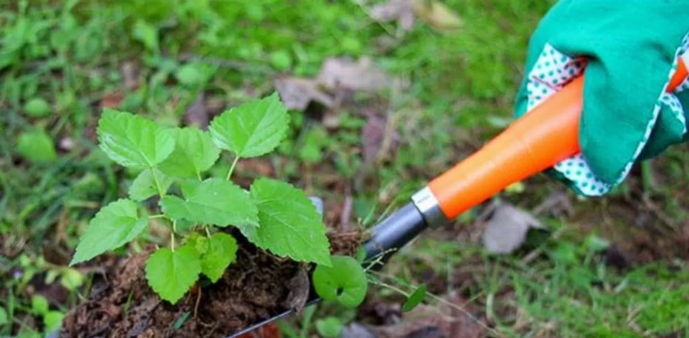 Garden Trowel,Garden Tools,Hand Shovel for Gardening,Hand Shovels for Digging,Planting,Transplanting,Weeding,Gardening Gift