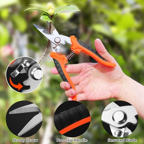 FACIACC Garden Secateurs 3 Pack, Pruning Shears Bypass Pruning Scissors, Pruner Secateurs with Sharp SK5 Steel Blades, Professional Hand Pruners for Plants Hedges Flowers