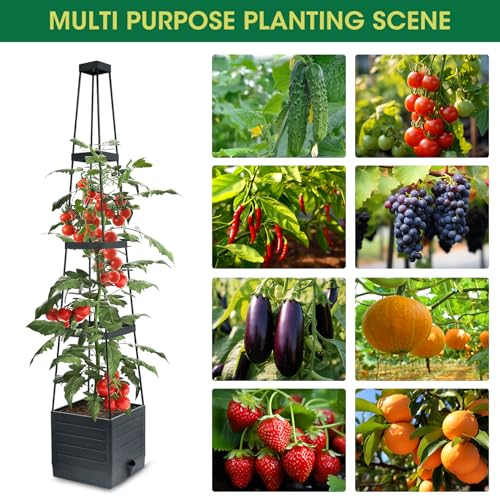 MYMULIKE Raised Garden Bed Planter Box with Trellis, Tomato Cage Planter, Raised Garden Bed with Trellis for Climbing Vegetables Plants Tomato Cage, Self-Watering, Indoor Outdoor Use (2pcs black)