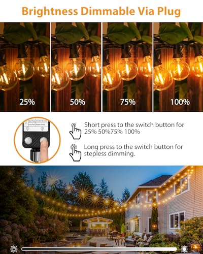 btfarm 36M/120FT Outdoor Festoon Lights Mains Powered【Timer & Dimmable】50-3 LED Garden String Lights with Shatterproof G40 Bulbs,Waterproof Indoor Outside Lights for Yard Wedding Christmas Patio Party