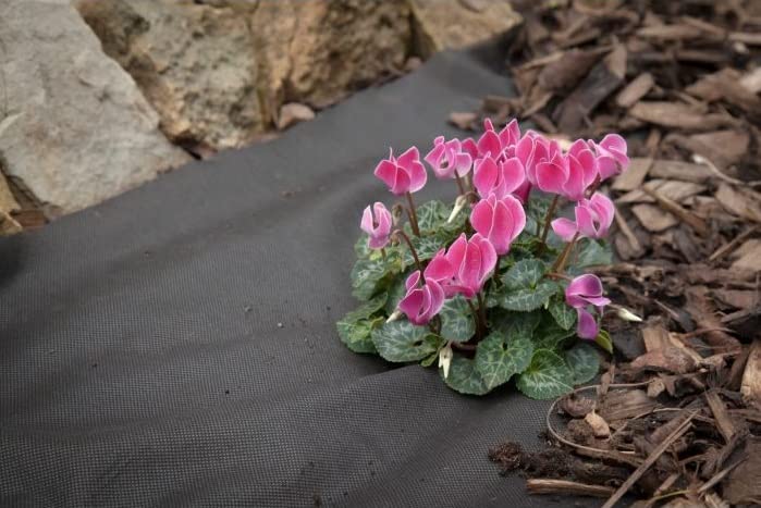 JKG WEED CONTROL MEMBRANE - Weed Barrier Suppressant Fabric | Perfect For Garden Stopping Weeds Growing Ground Cover | Anti Weed, Block Weeds Membrane Control | Allows Plants To Flourish [1M X 1.5M]