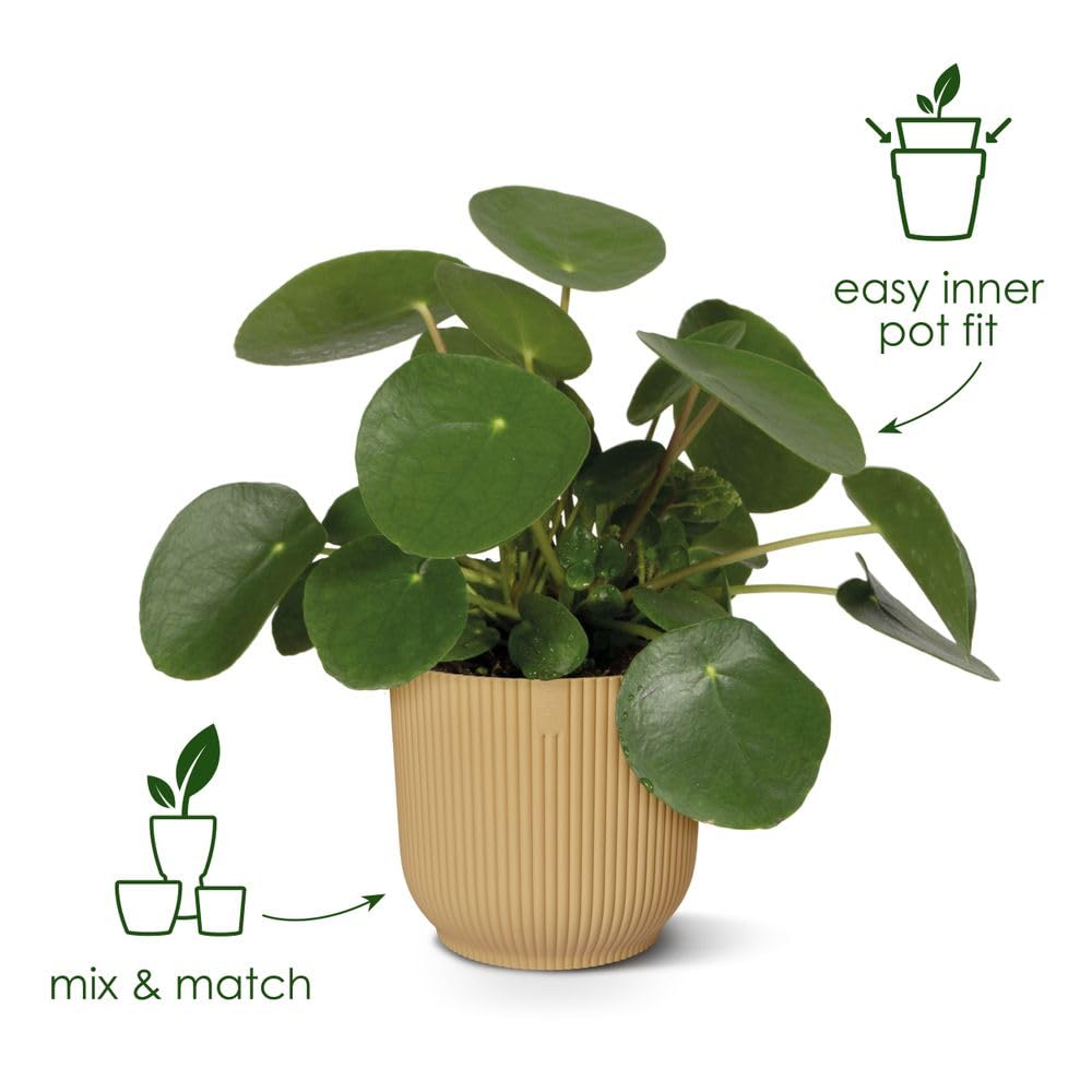 elho Vibes Fold Round 25 - Flower Pot from 100% Recycled Plastic - Indoor plant pot - Ø 25.0 x H 23.0 cm - White/Silky White