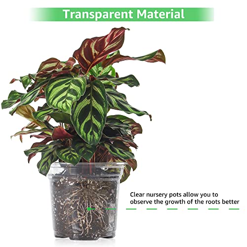 MIXC 36 Packs 3.5/4/5 Inch Clear Nursery Pots, Transparent Plastic Planter with Drainage Holes, Seed Starting Pot Flower Plant Container -Clear