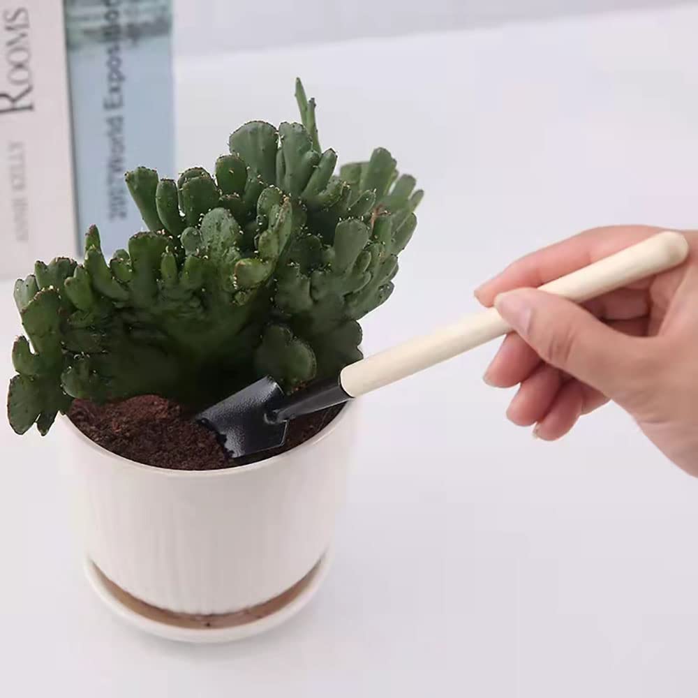 ANZONGYI 3 Pieces Flower Gardening Kit Miniature Gardening Rake Trowel and Shovel Succulent Plants Tools for Indoor Miniature Fairy Garden