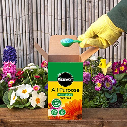 Miracle-Gro All Purpose water Soluble Plant Food, 1 kg