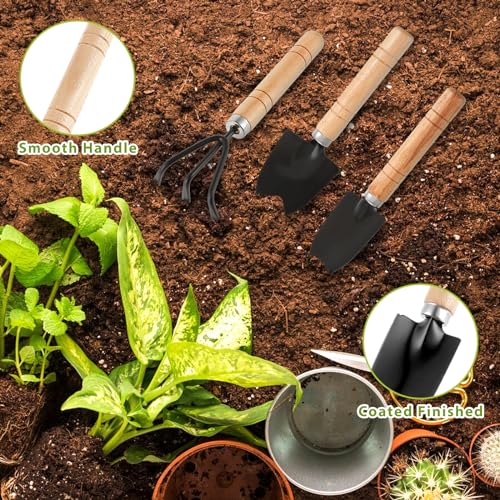 Sibba 6 Pcs Garden Tools Set Mini Miniature Shovel Indoor Succulent Home Tiny Gardening Kit Plant Potted Repotting Flower Wood Handle Care Transplant Accessories Potted Houseplant