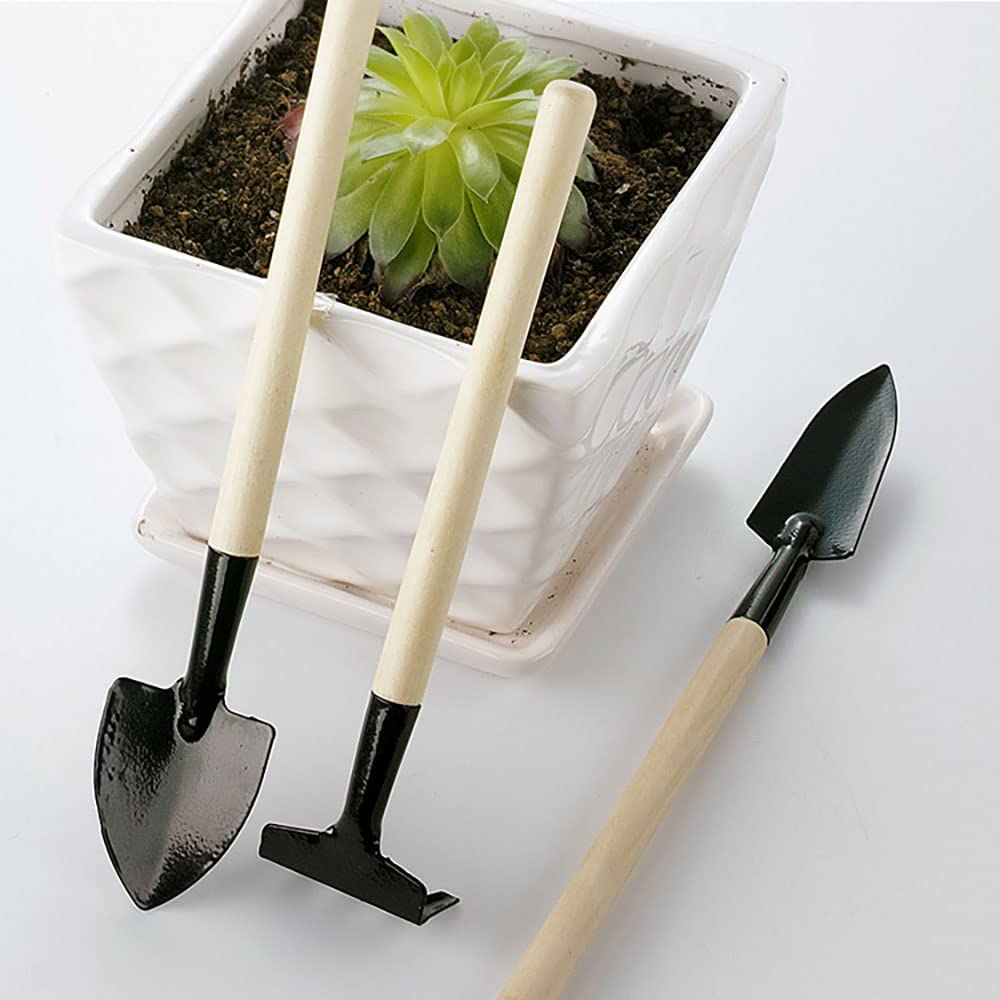 ANZONGYI 3 Pieces Flower Gardening Kit Miniature Gardening Rake Trowel and Shovel Succulent Plants Tools for Indoor Miniature Fairy Garden