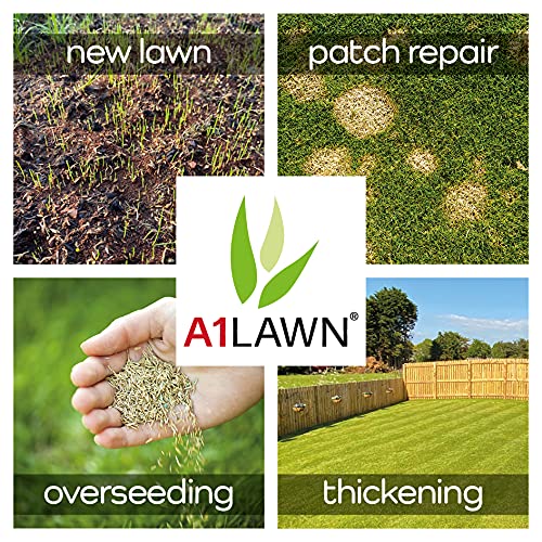 A1 Lawn - Hard Wearing Grass Seed, 5kg (140m2) - UK Resilient, Fast Growing, Fresh, Pet & Child Friendly - Ideal for Patch Repair, Over Seeding, New Lawns & Thickening. DEFRA Approved (AMPRO25)