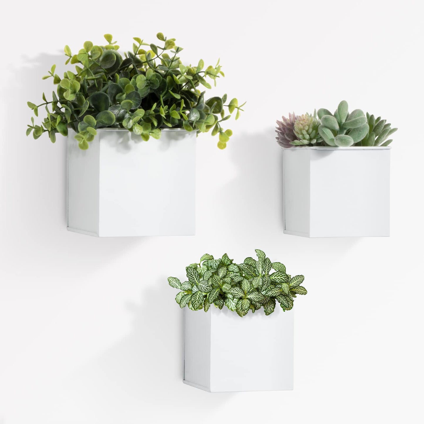 BOFUNX 3Pcs Wall Mounted Flower Pots, 3 Sizes Metal Wall Planter Hanging Flower Pots Wall Plant Container for Home Wall Decoration