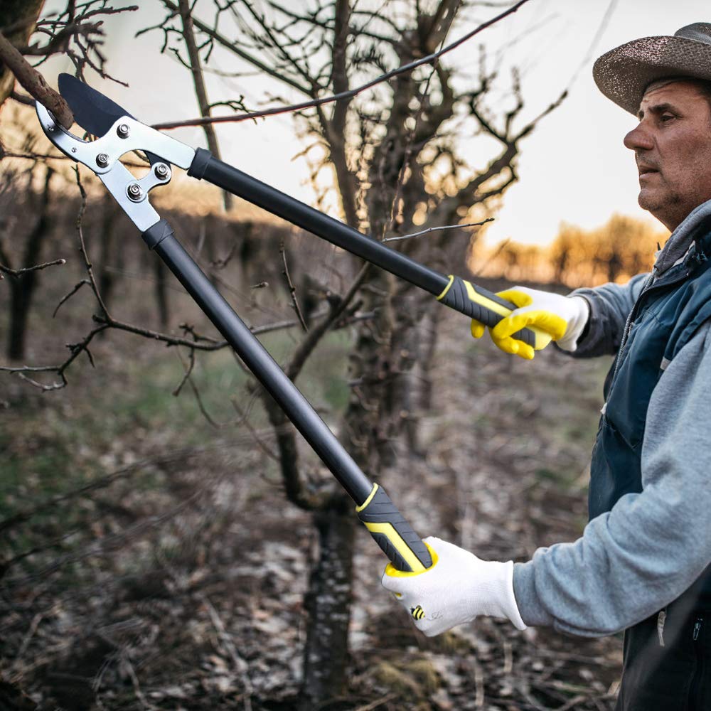 Jardineer Anvil Loppers Shears - Loppers for Gardening Heavy Duty with Pruning Shears & Spare Blade, Effortless Pruning Tree Loppers,Long-Lever Branch Cutters and Tree Trimmer