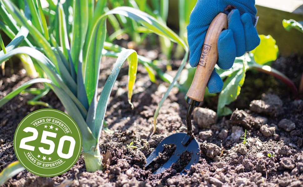 AMES Hand Fork - Carbon Steel