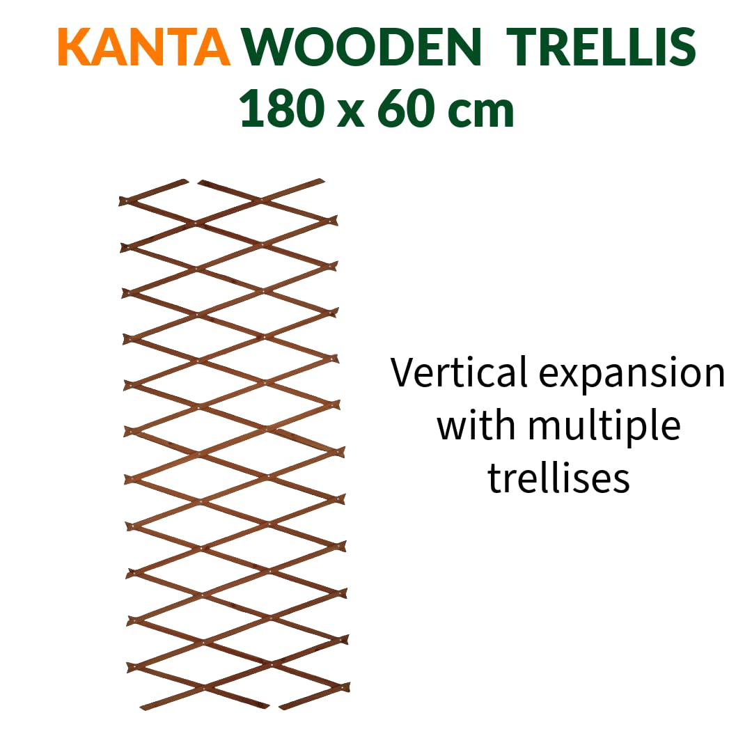 KANTA 3 x Garden Expanding Wooden Trellis Expandable Trellises Aluminum Riveted Each Piece Expands to 180cm x 60cm Climbing Plants Support