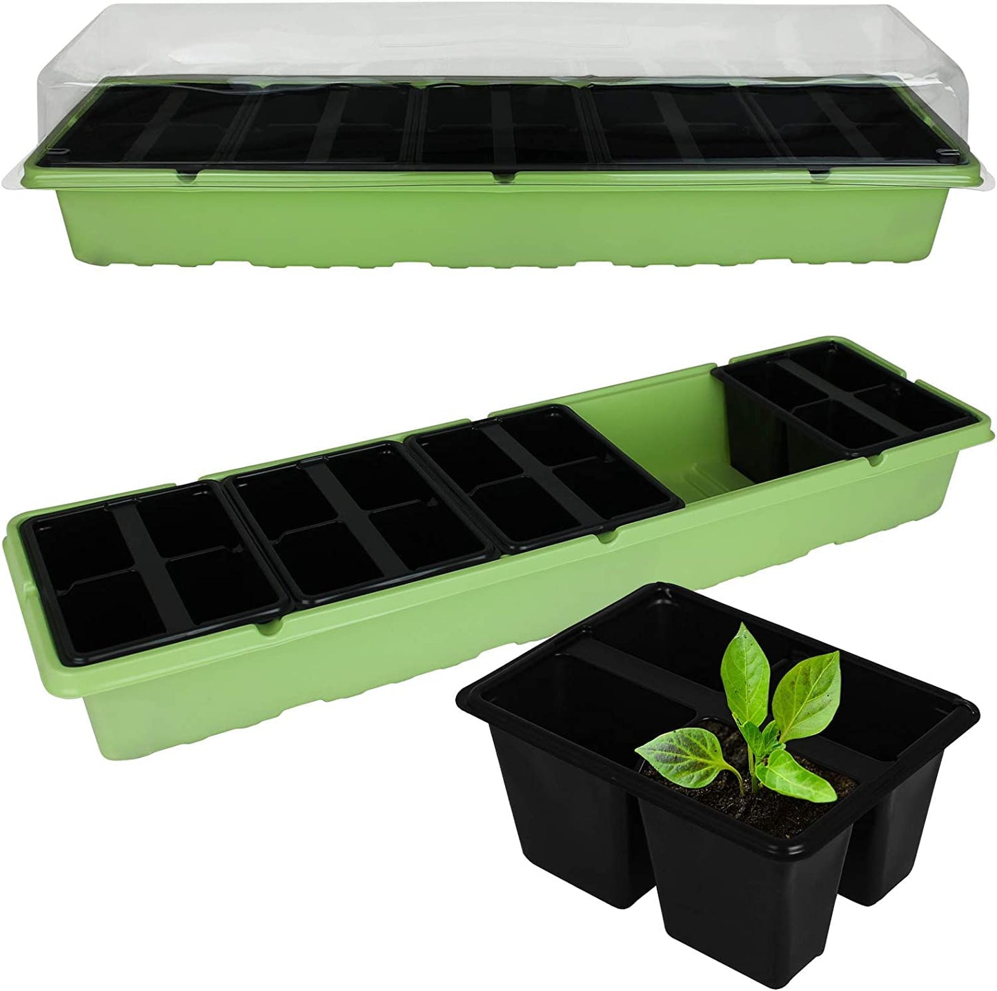 Muddy Hands Pack of 2-20 Cell Windowsill Propagator - Perfect Plant Germination Seedling Seed Stater Tray Kit