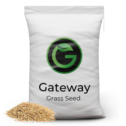 Horse Paddock Grass Seeds - Fast Growing Grass Seed for Repairs on Pastures, Fields & Gateways - Ultra Hard Wearing - 5kg - Garden Lawncare Guy