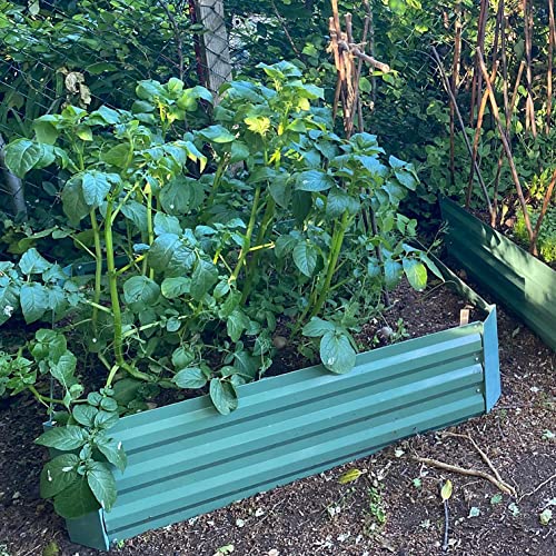 Selections Metal Raised Vegetable Bed in Green (100cm x 100cm x 30cm)