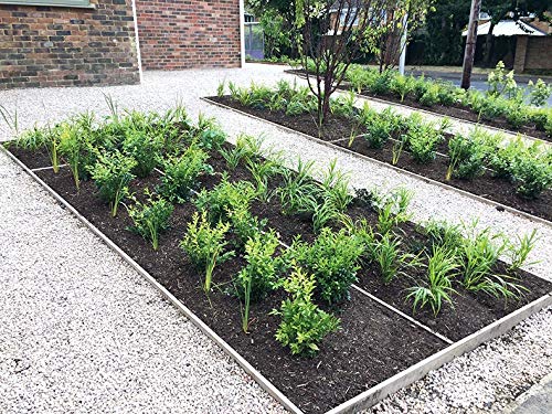 Green Timber Gravel Board 150mm x 22mm (6x1 Inch)