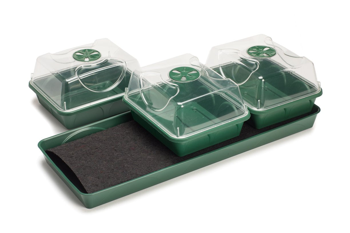EarlyGrow MPL50033/P/C 3-Bay Windowsill Propagator with Capillary Mat and Tray (Self-Watering) 54.5 x 21.5 x 15 Centimetres - Green