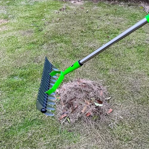 Stainless Steel Thatch Rake with Curved Steel Tines, Dethatcher Lawn Rake for Clearing Dead Grass, Ergonomic Handle, 3 Sections Rods, for Thatching, Fertilizing, Reseeding Tilling
