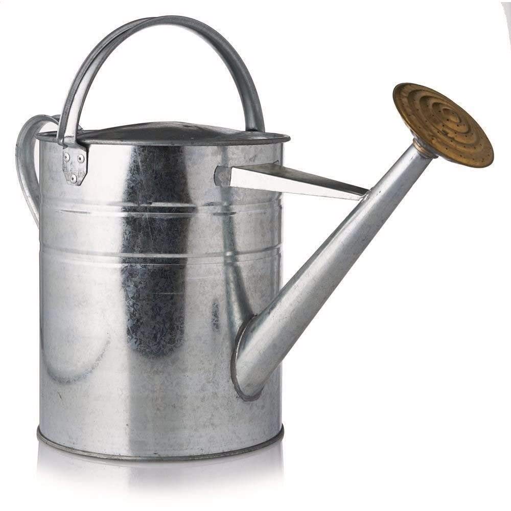 Easy Shopping® 9 Litres / 2 Gallon Garden Plant Flower Galvanised Metal Steel Watering Can with Brass Rose