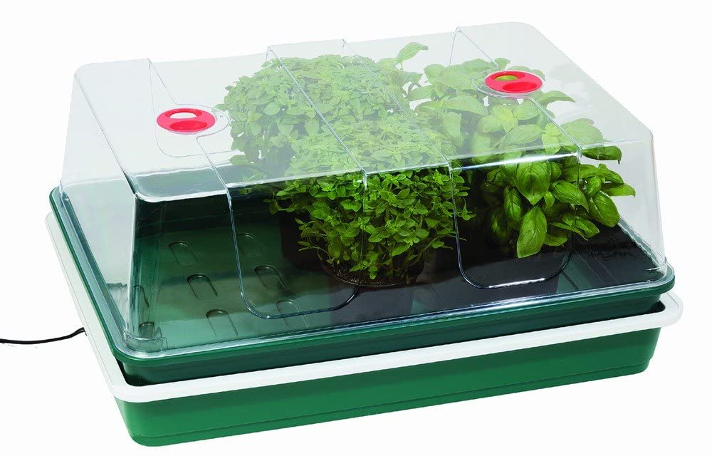Garland Extra Large High Dome Electric Propagator - 24W