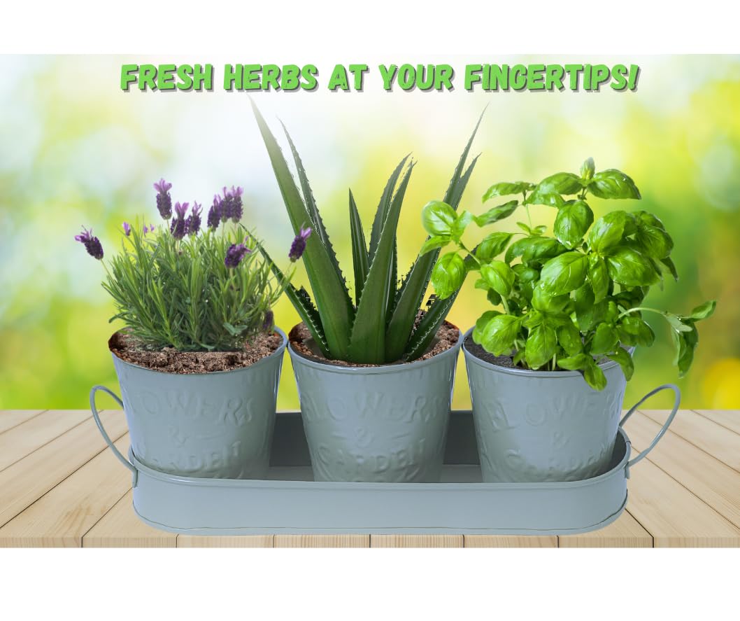 Trendi – Set of 3 Metal Plant Pots with Drip Tray | Embossed Indoor & Outdoor Plant Pots for Garden, Windowsill, Kitchen & Desk | Decorative Metal Flower Pots for Herbs & Plants | Light Green