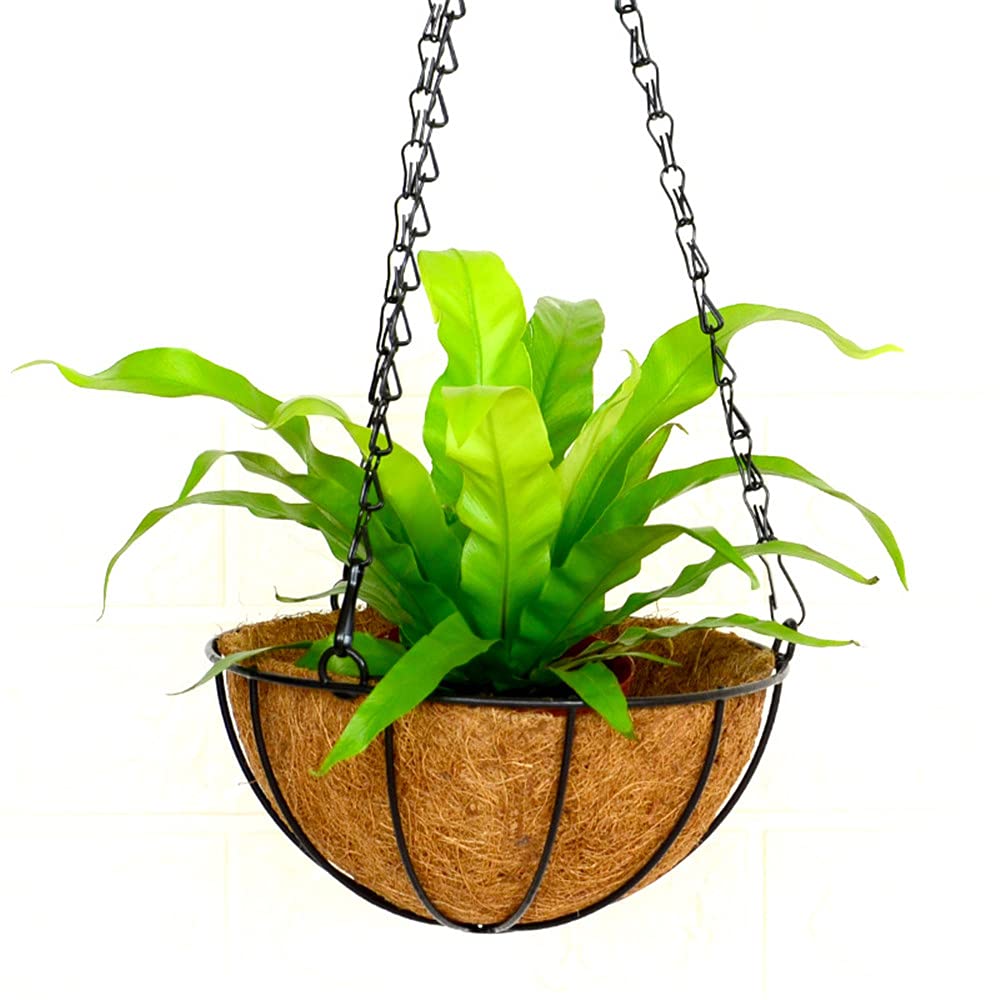 GQMMHFX 2 PCS Adjustable Hanging Flower Basket with Metal Chain Coconut Coir Liner Round Watering Flower Pots Plant Holder Garden Porch Decor for Outdoor Indoor(12 inch)