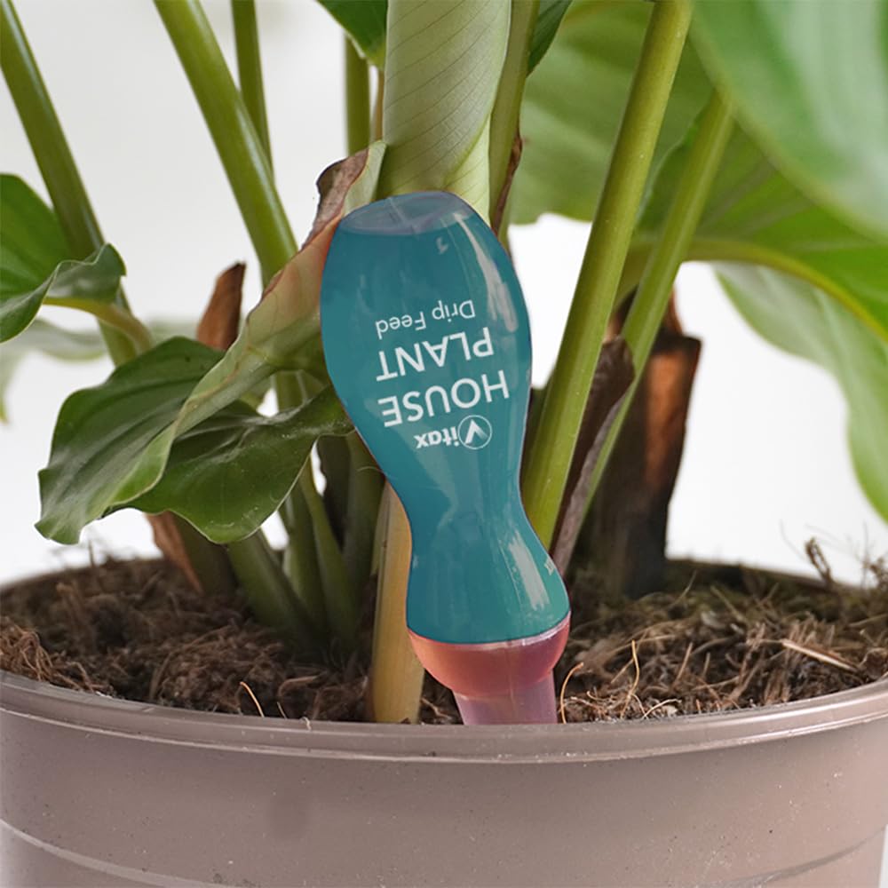 Vitax House Plant Drip Feed 10 Pack
