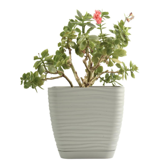 B2C Plant Pot Flowerpot Square Plastic Modern Decorative Wave Grooves Textured Elegant & Modern With Saucer (Light grey, 13cm)